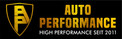 Logo Auto Performance